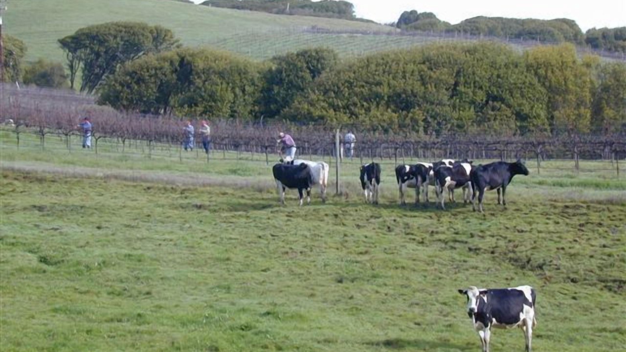 Photo of Outdoor in Point Reyes Station