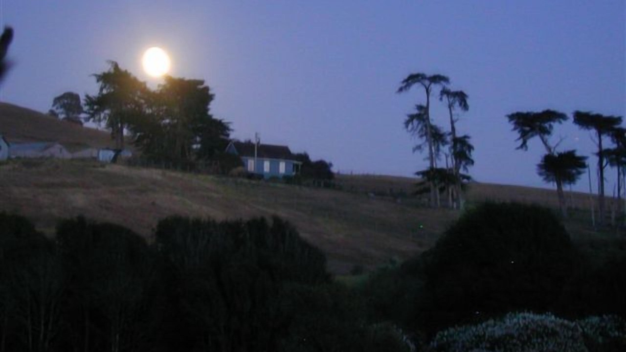 Photo of Others in Point Reyes Station