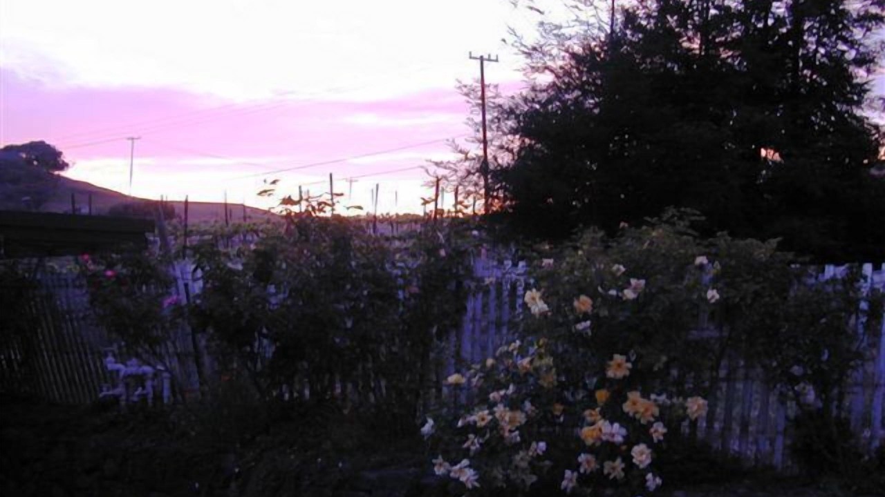 Photo of Others in Point Reyes Station