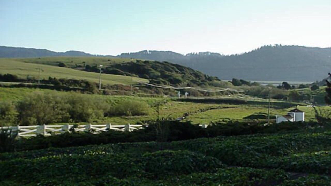 Photo of Others in Point Reyes Station