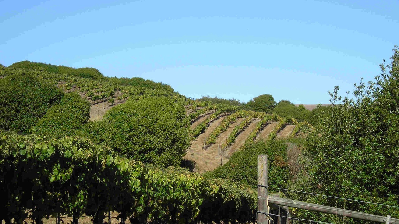 Photo of Outdoor in Point Reyes Station