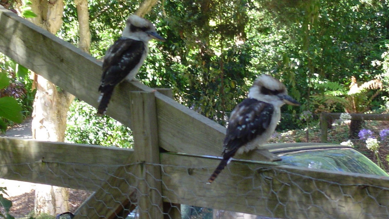 Photo of Outdoor in Belgrave