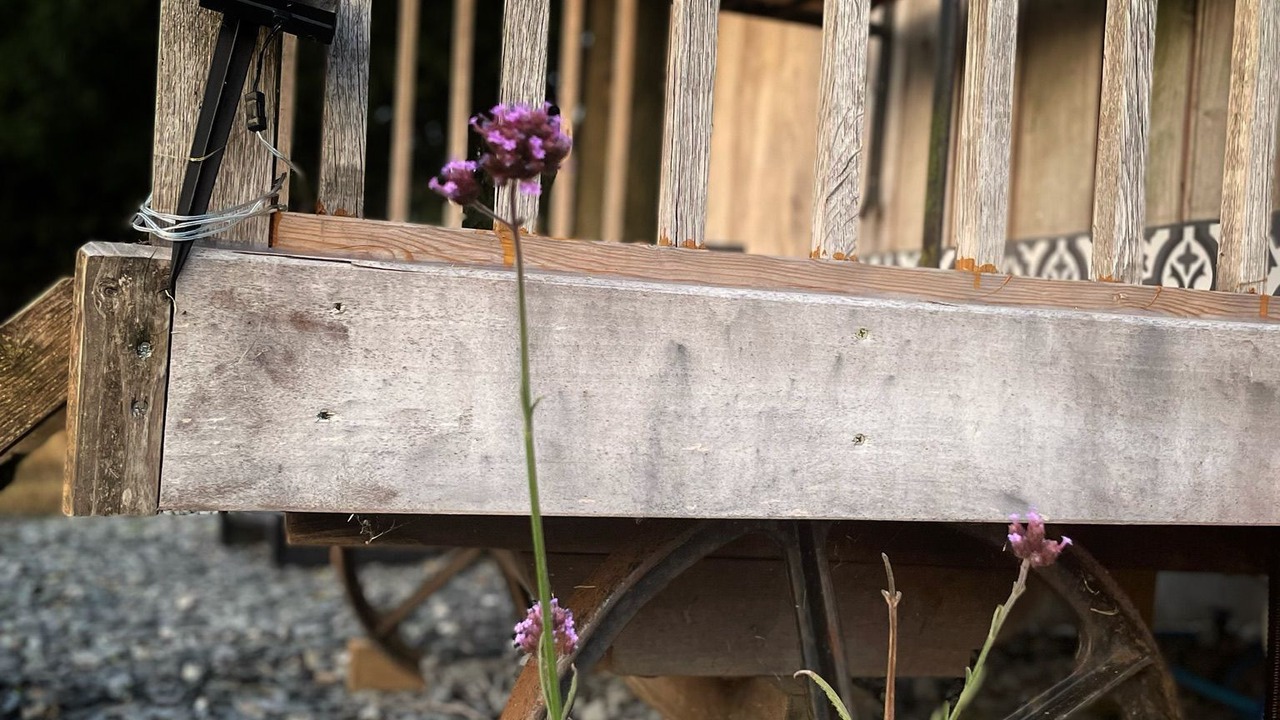 Photo of Others in Cleeve