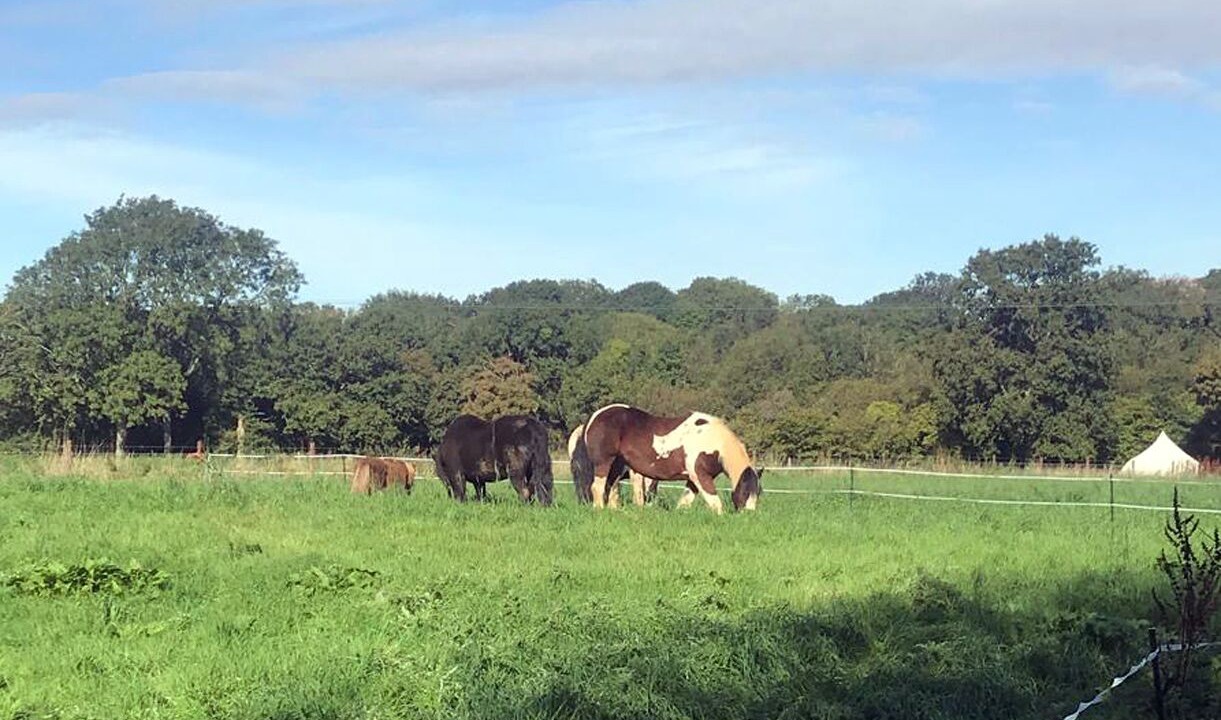 Photo of Outdoor in Cleeve