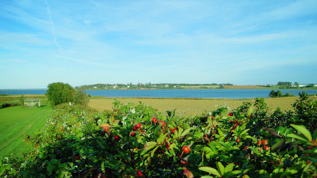 Photo of Others in North Rustico