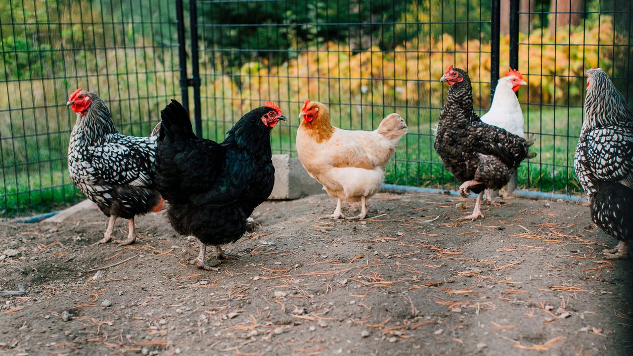 Photo of Outdoor in Leavenworth