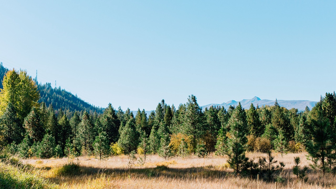 Photo of Outdoor in Leavenworth