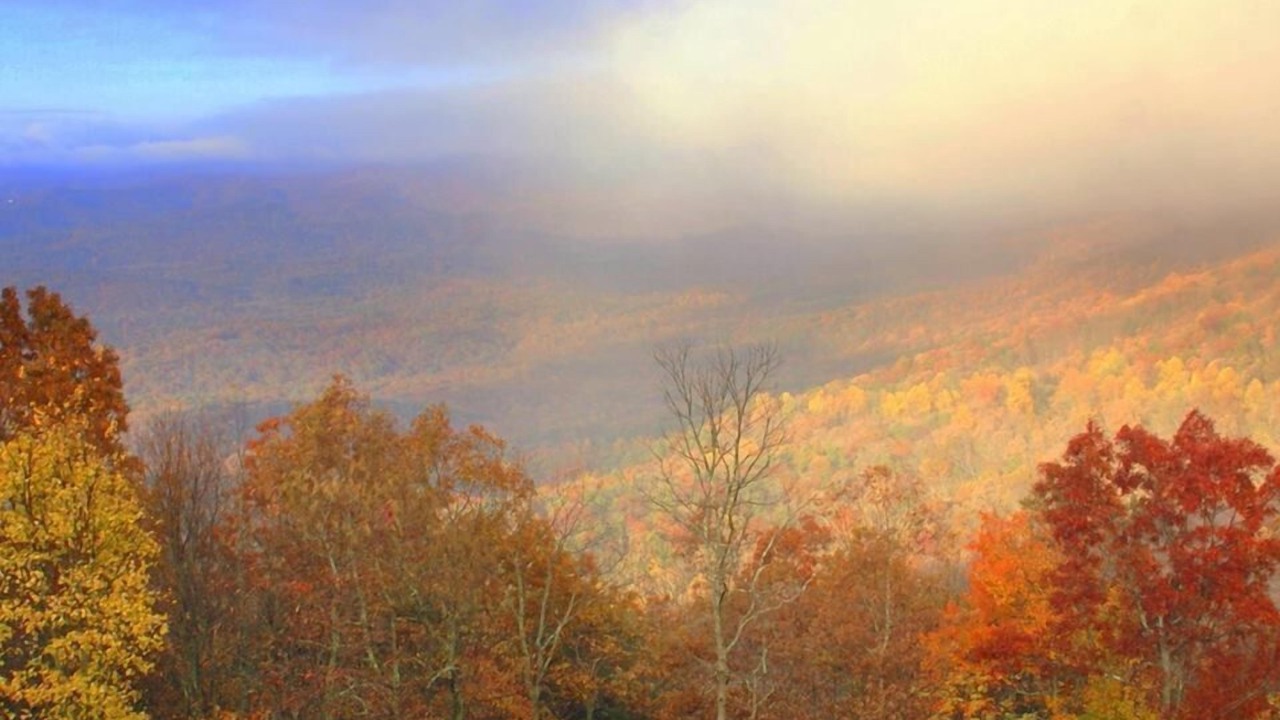 Photo of Others in Dawsonville