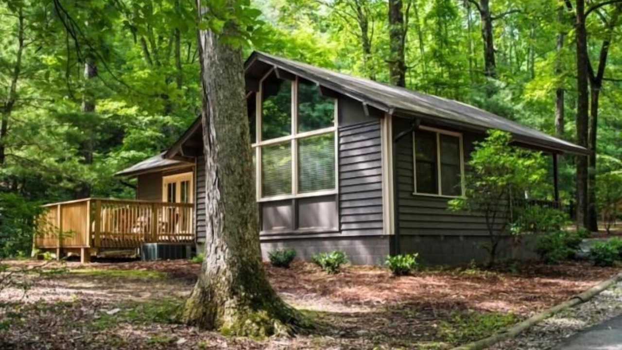 Photo of Outdoor in Dawsonville