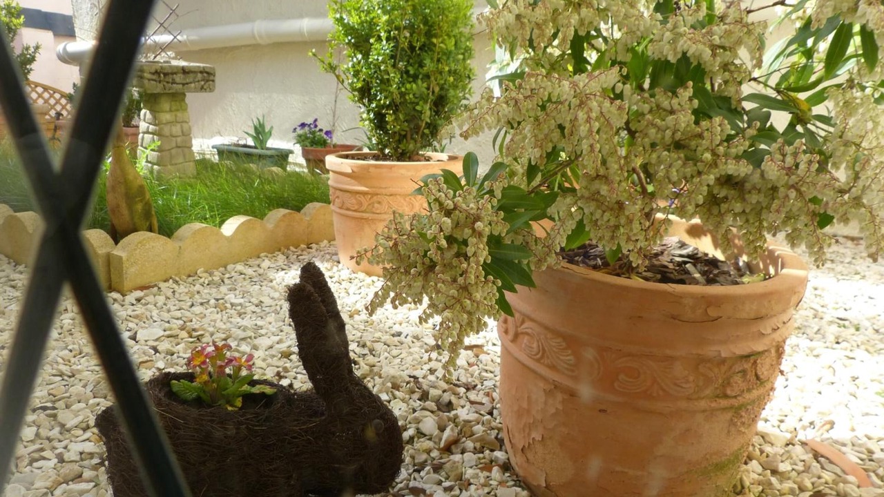 Photo of Outdoor in Teignmouth