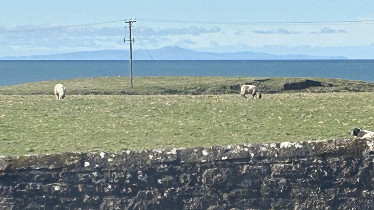 Photo of Others in Whitehaven