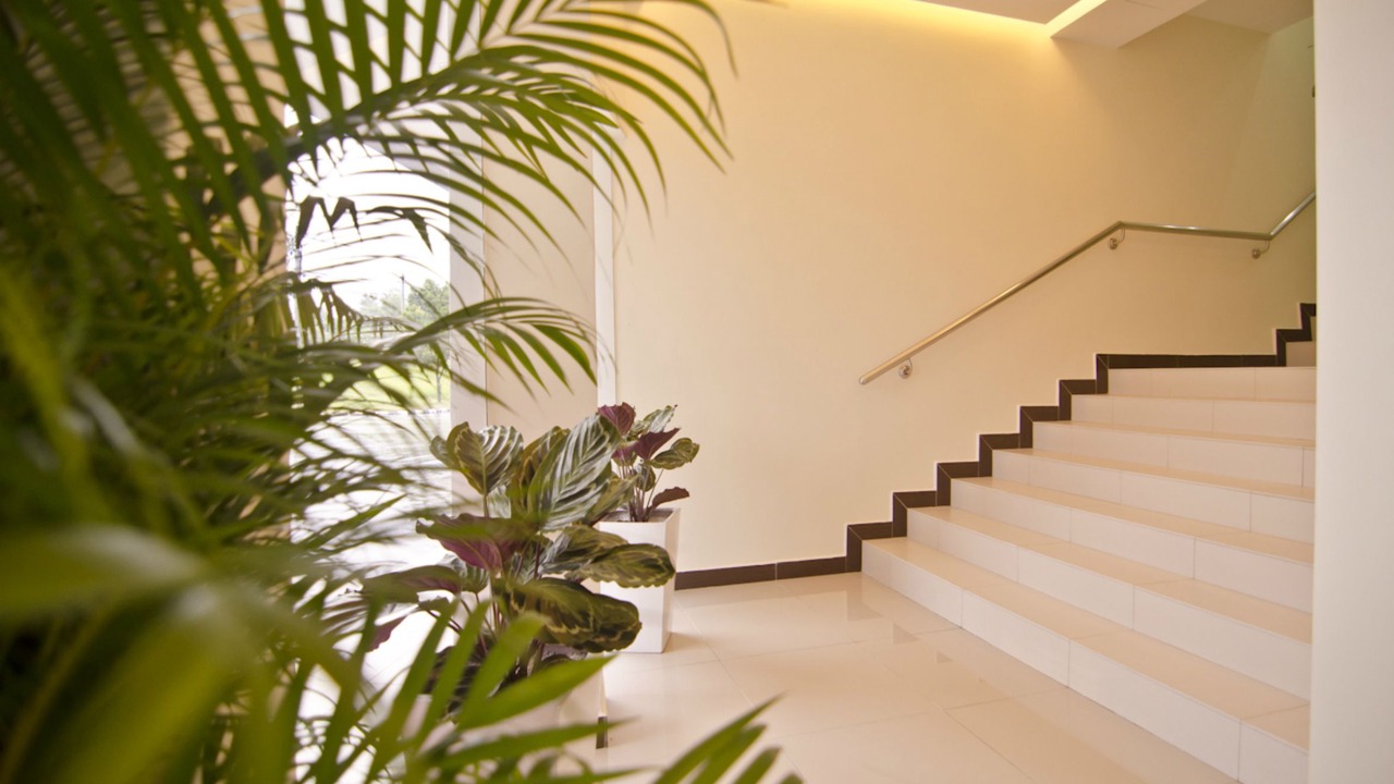 Photo of Others in Kluang