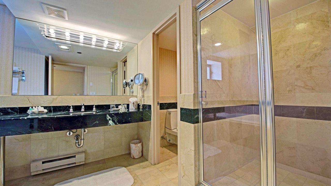 Photo of Bathroom in Great Neck Plaza