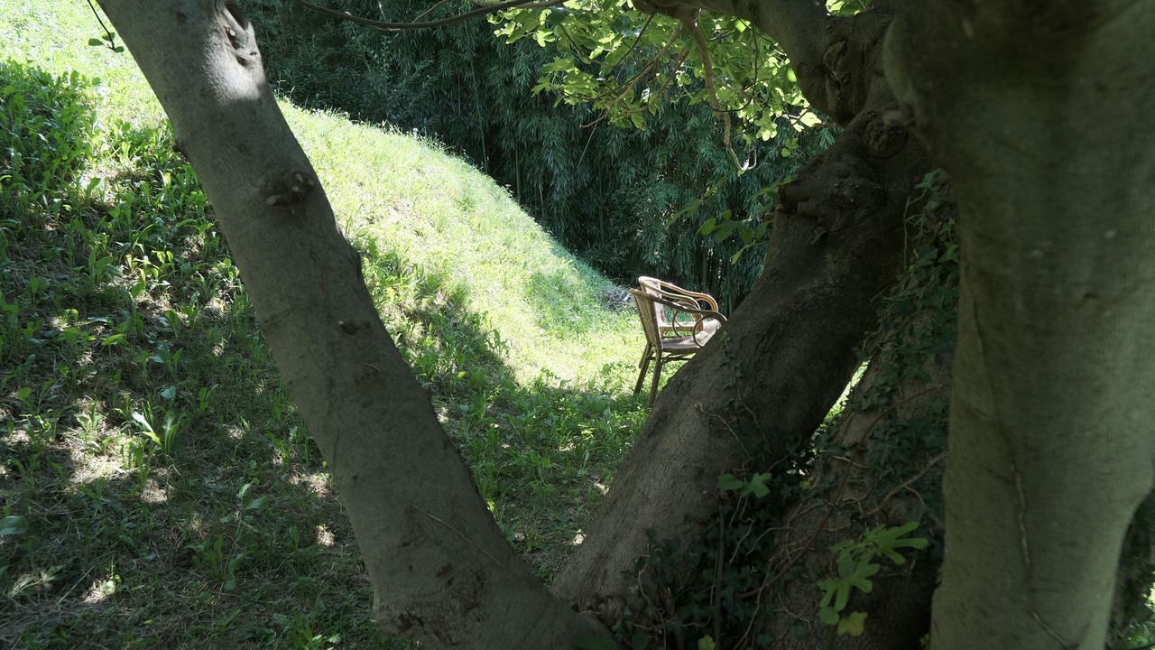 Photo of Outdoor in Lugano