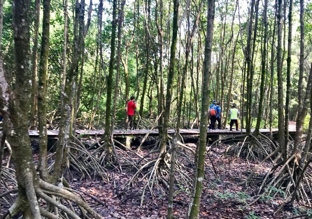 Photo of Outdoor in George Town