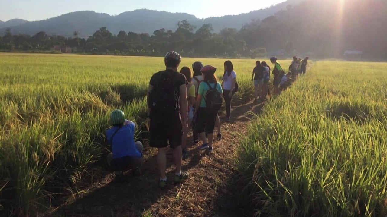 Photo of Outdoor in George Town