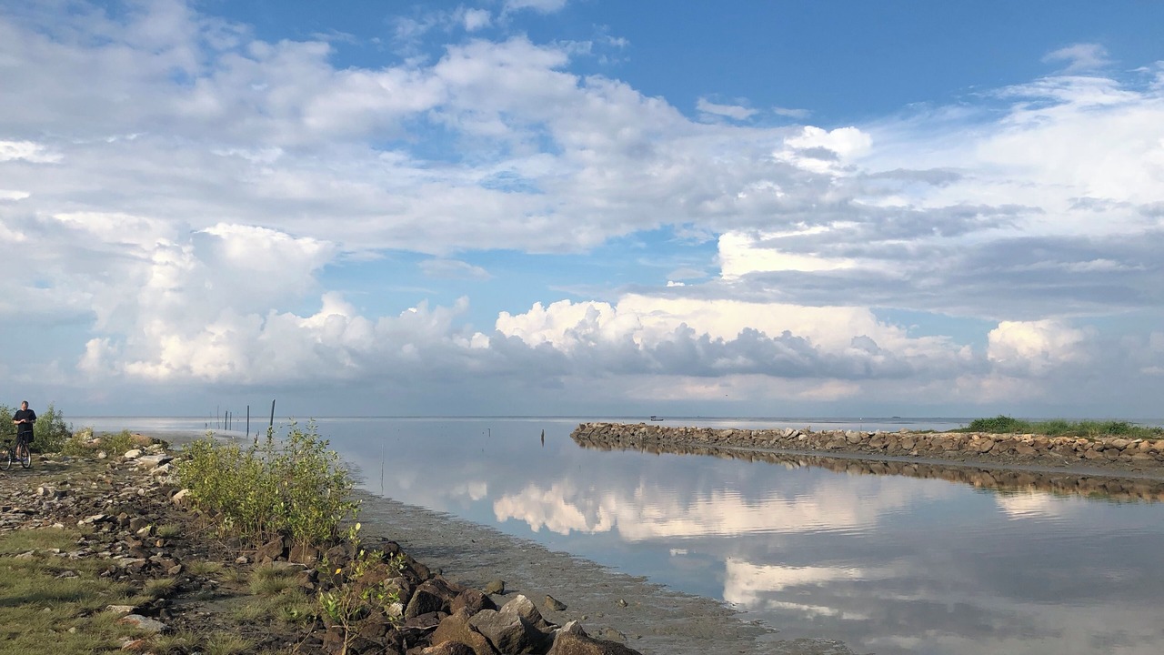 Photo of Outdoor in George Town