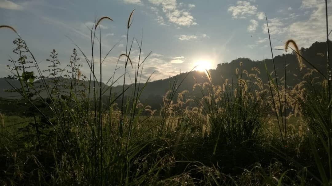 Photo of Others in George Town