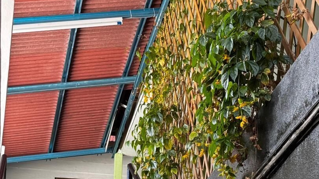 Photo of Outdoor in George Town