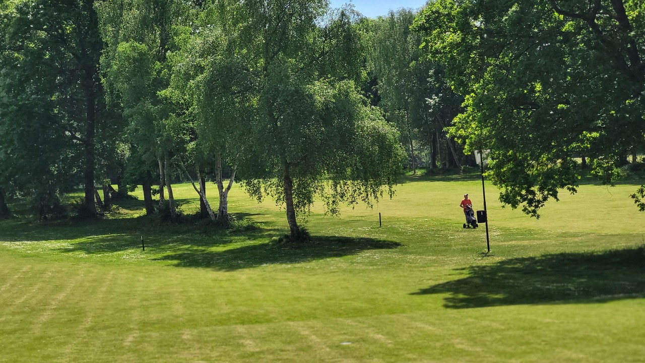 Photo of Others in Le Mesnil-sous-Jumieges