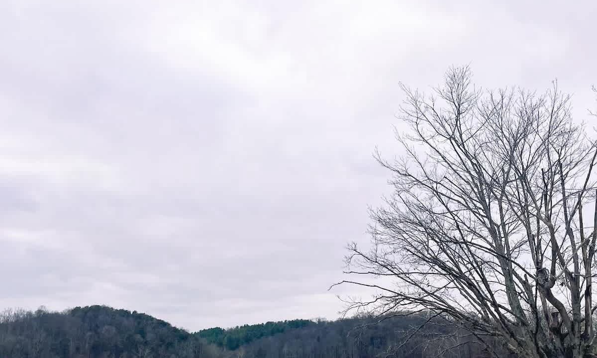 Photo of Others in Logan