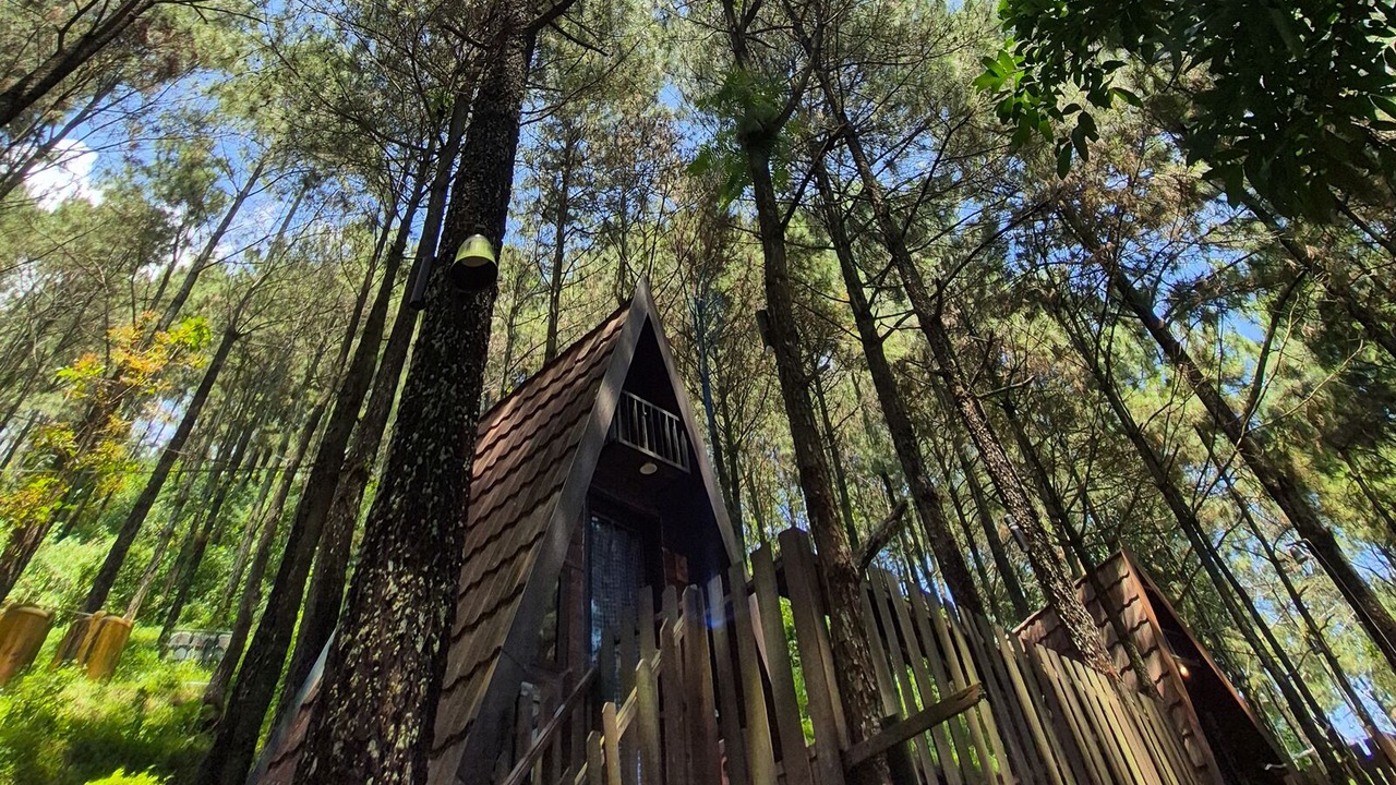 Photo of Outdoor in Pacet