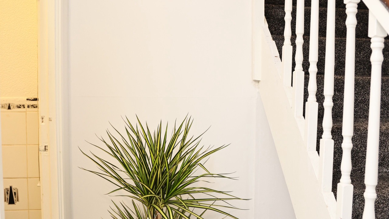 Photo of Others in Norbiton