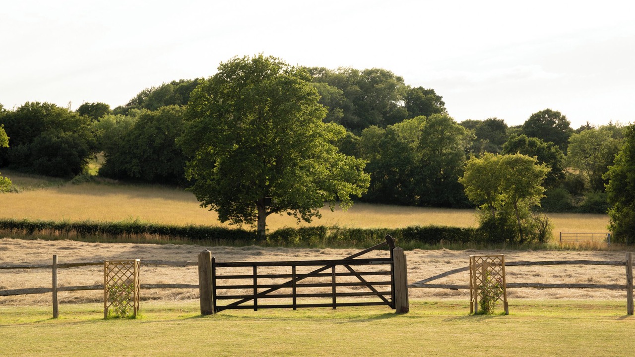 Photo of Outdoor in Plumpton Green