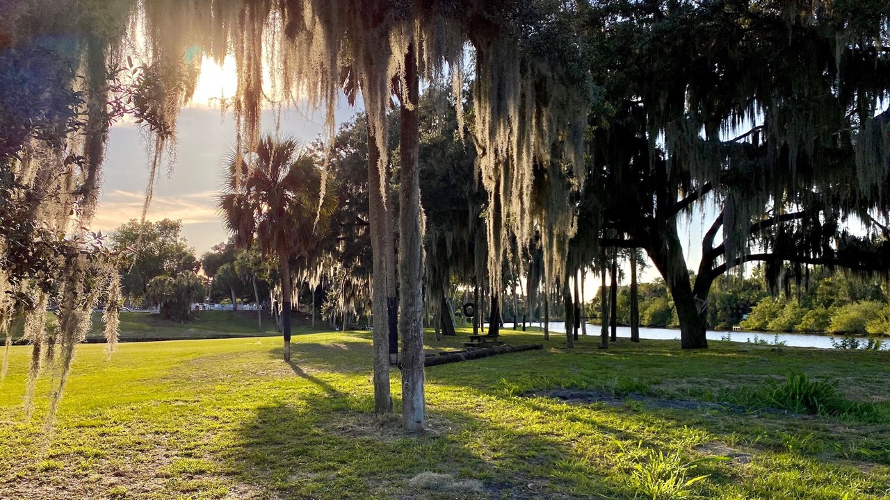 Photo of Outdoor in Braden River