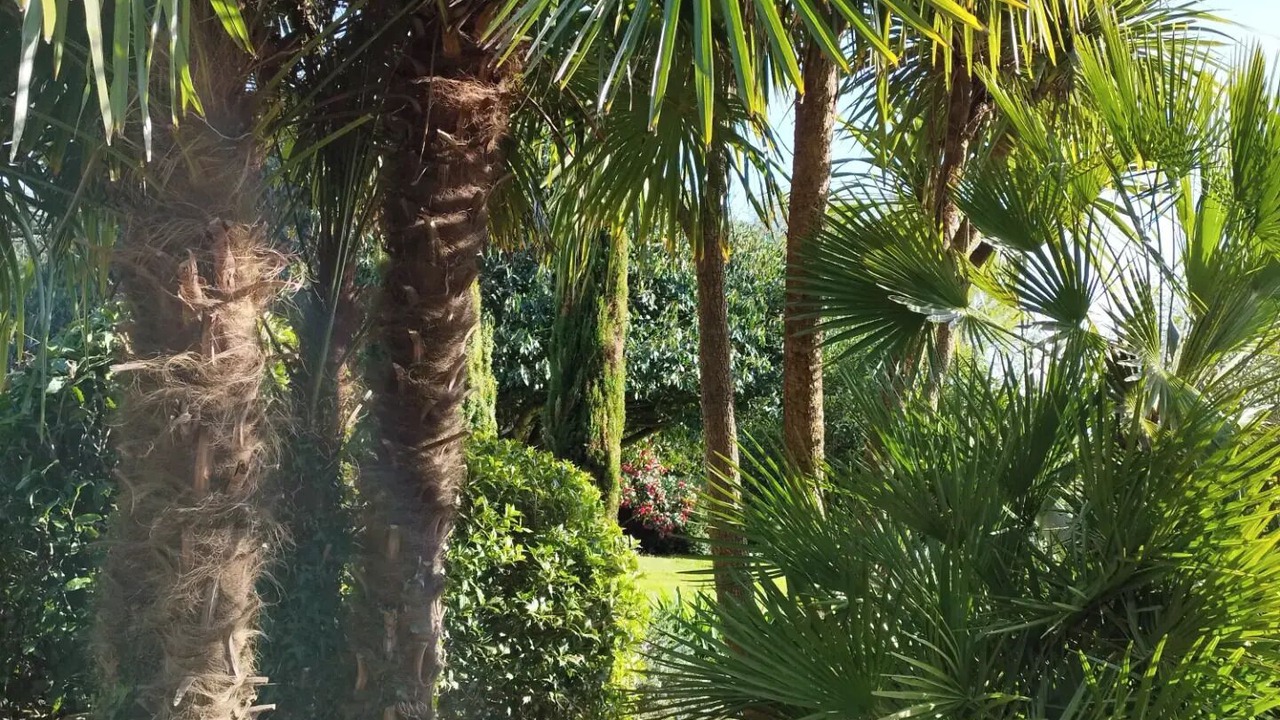 Photo of Outdoor in Riec-sur-Belon
