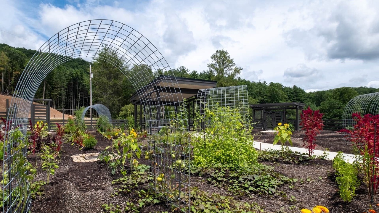 Photo of Outdoor in Balsam Grove