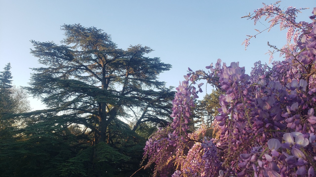 Photo of Outdoor in Lauret