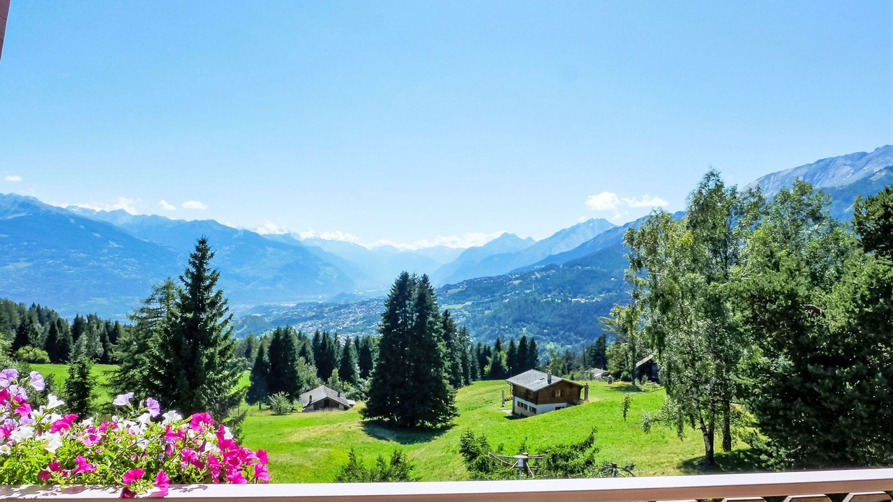 Photo of Outdoor in Lens