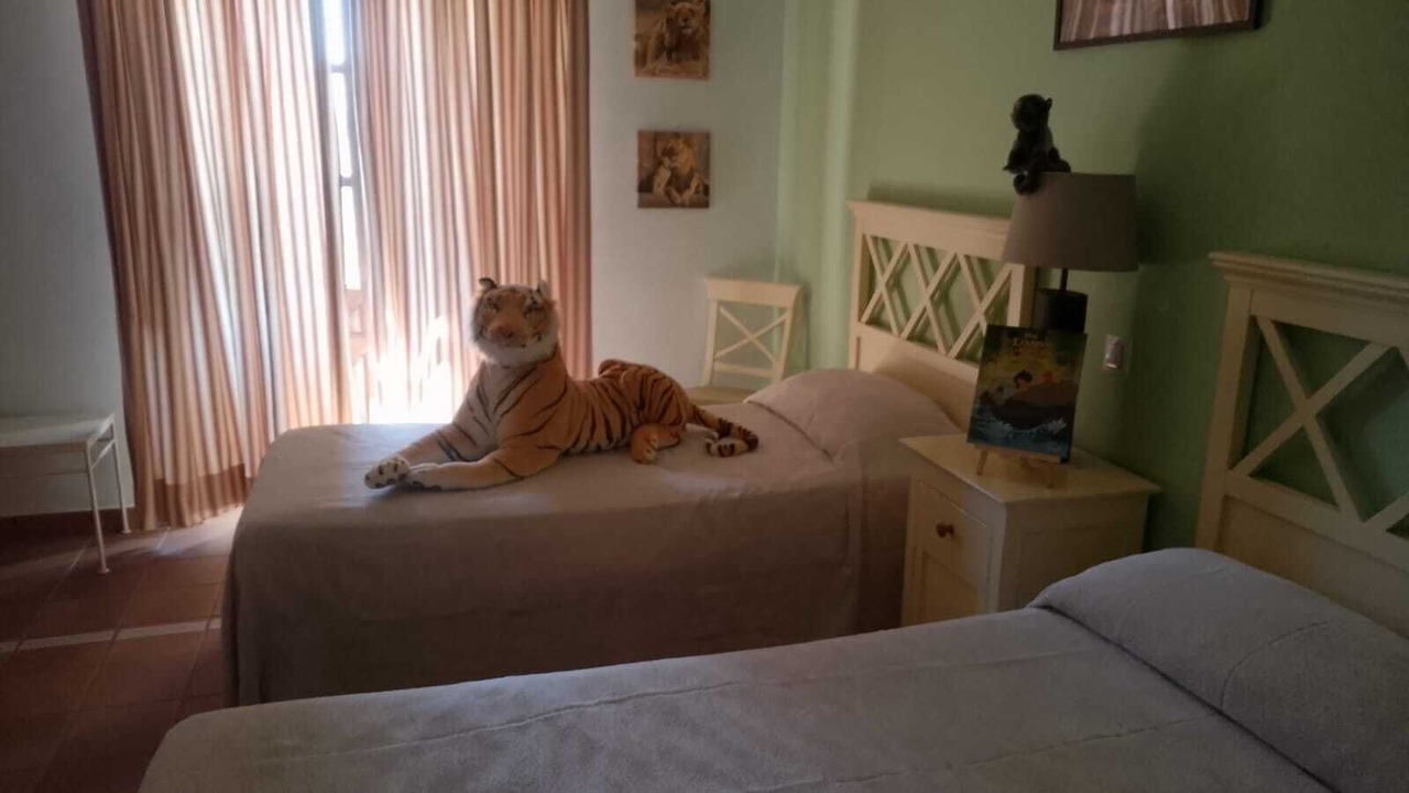 Photo of Bedroom in Lillo