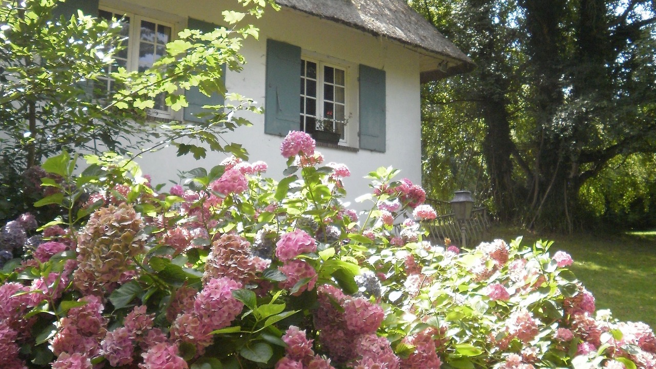 Photo of Outdoor in Hautot-sur-Mer