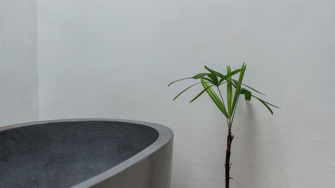 Photo of Bathroom in Singapadu Tengah