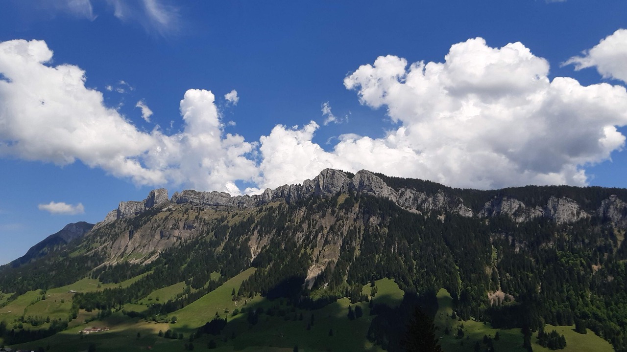 Photo of Others in Fluehli