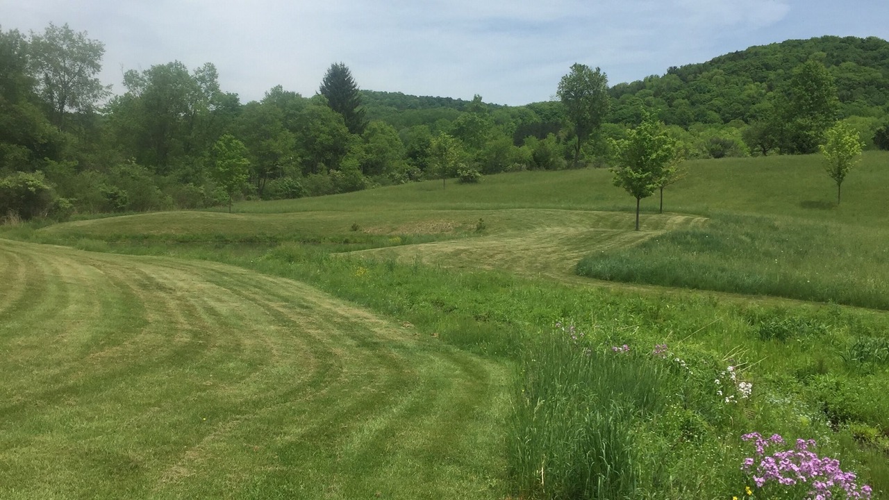 Photo of Outdoor in Fly Creek