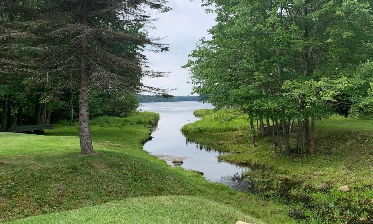 Photo of Outdoor in Tobyhanna