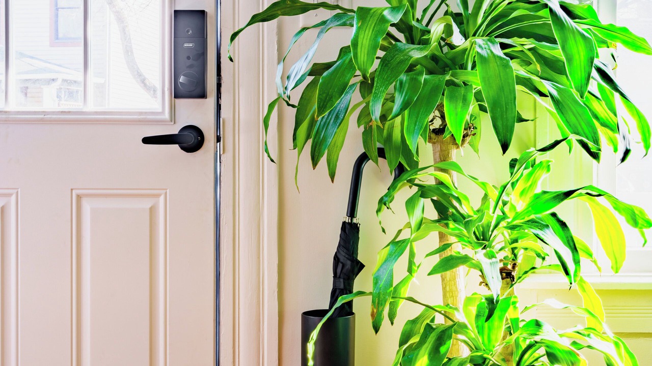 Photo of Others in Victorian Village