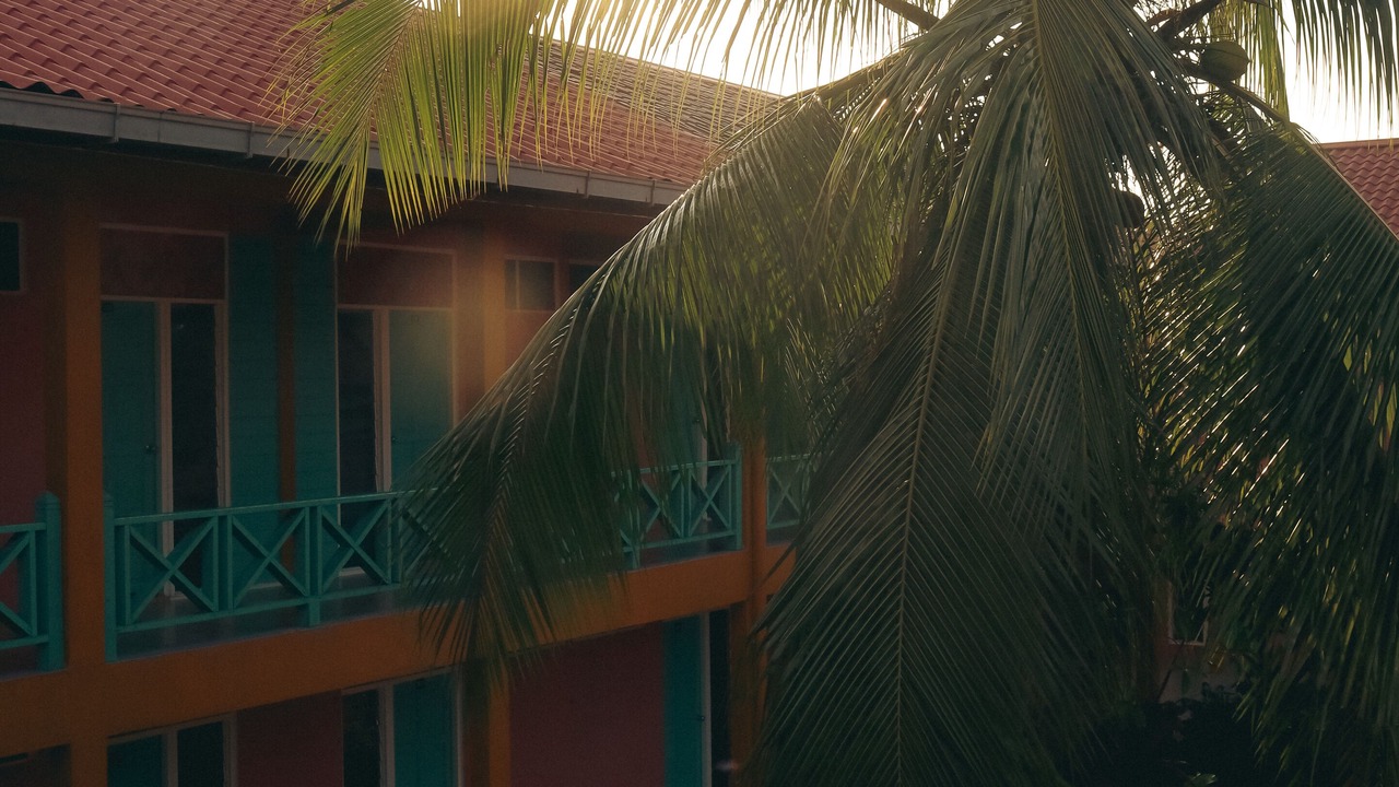 Photo of Outdoor in Tekek