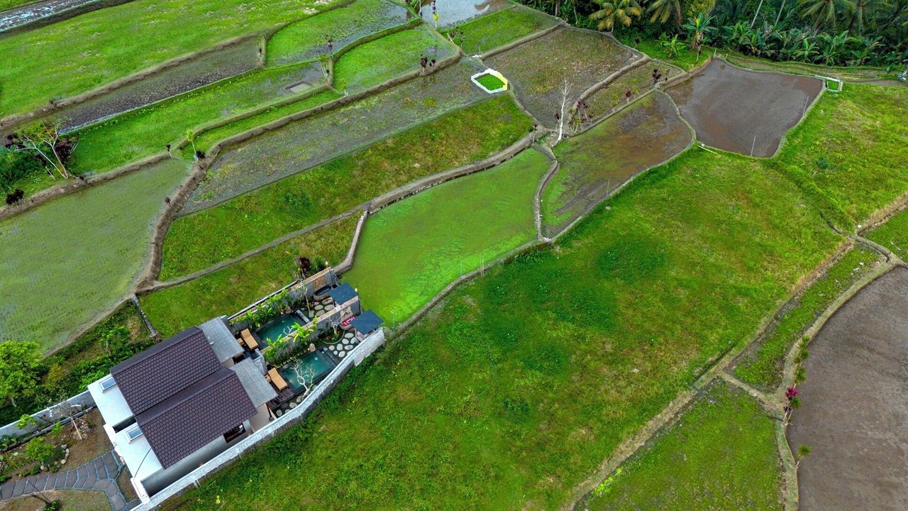 Photo of Outdoor in Sebatu