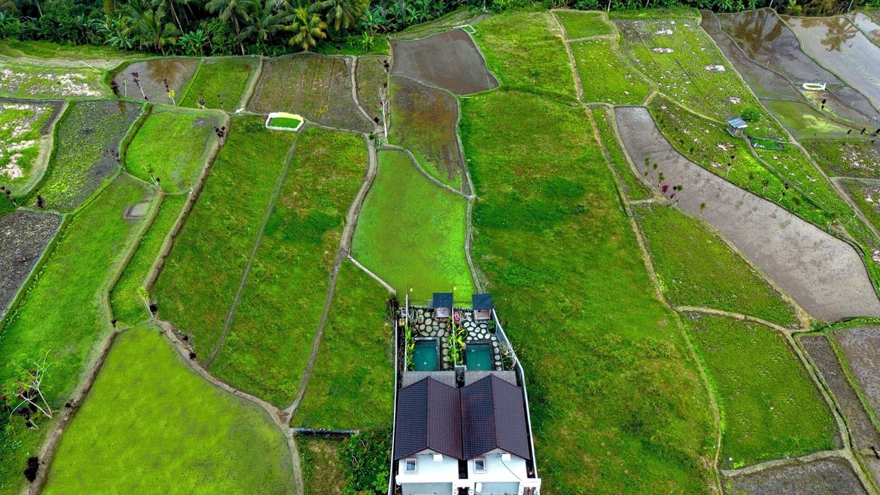 Photo of Outdoor in Sebatu