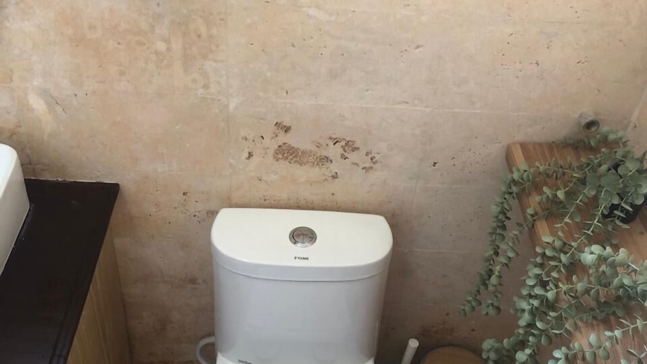 Photo of Bathroom in Samana