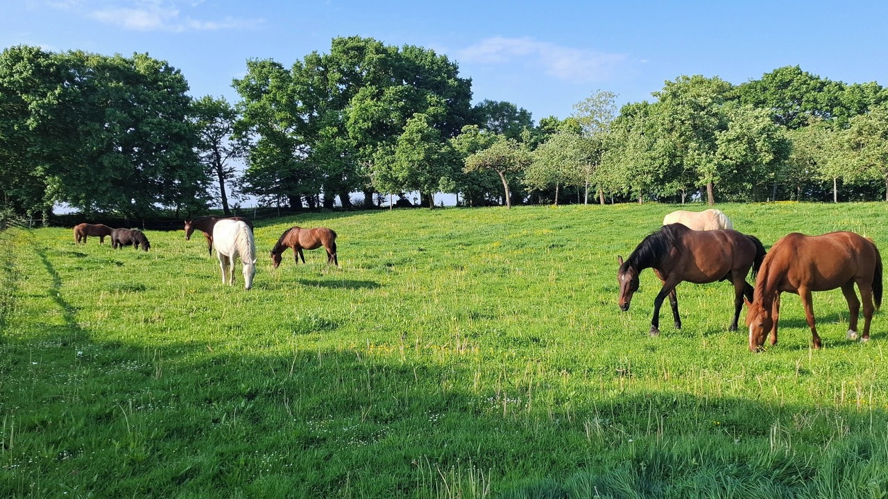 Photo of Outdoor in Le Val-Saint-Pere