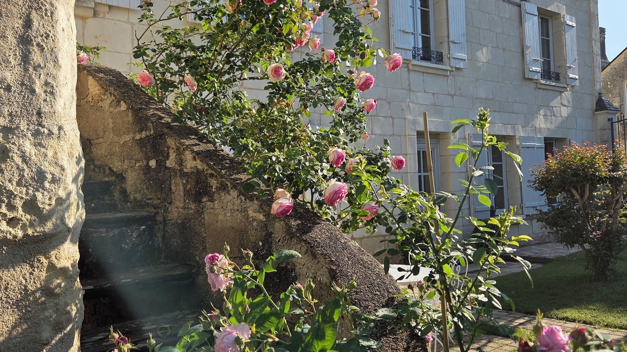 Photo of Outdoor in Gennes-Val-de-Loire