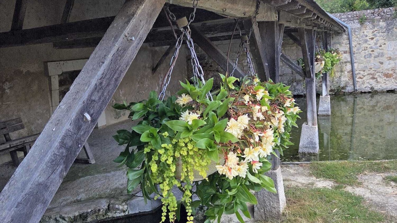Photo of Outdoor in Gennes-Val-de-Loire
