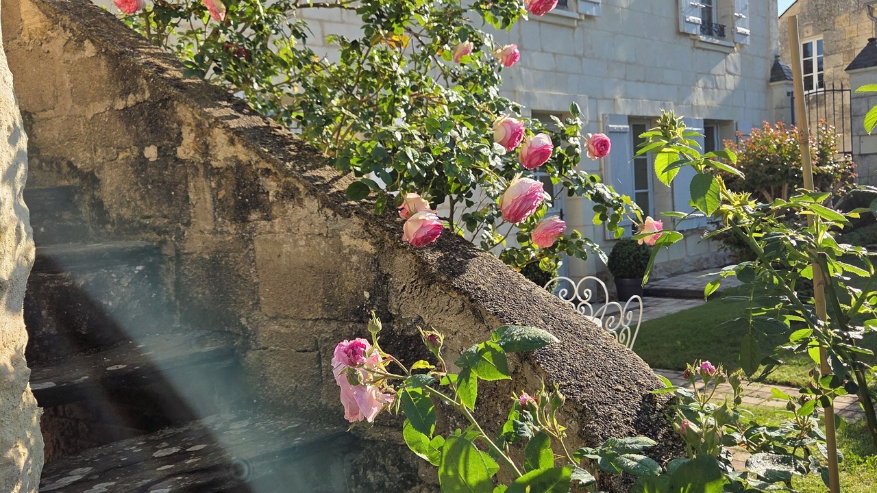 Photo of Outdoor in Gennes-Val-de-Loire