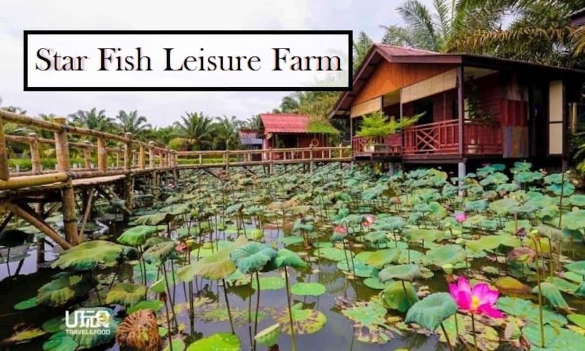 Photo of Outdoor in Daerah Kulai