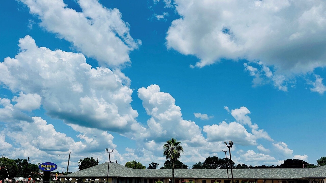 Photo of Outdoor in West Columbia